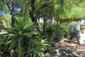 particolare del giardino di Villa Saracina con piante tipiche mediterranee